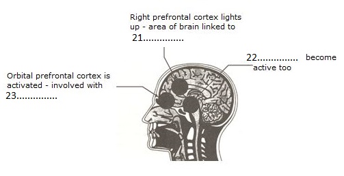 Academic Reading Sample 76