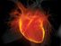 3d illustration human heart. Adult Anatomy Aorta Black Blood Vessel Cardiovascular System Coronary Artery Coronary Sinus Front View Glowing Human Artery Human Heart Human Internal Organ Medical X-ray Myocardium