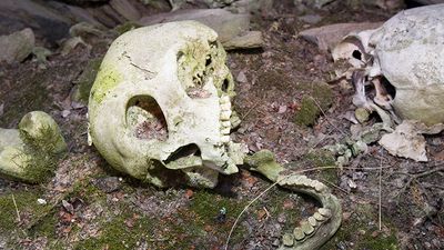 A human Inuit skull in a stone chambered cairn in Ilulissat in Greenland. These ancient graves are pre christian and are at least 2000