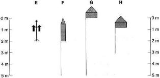 IELTS reading sample 11-picture2