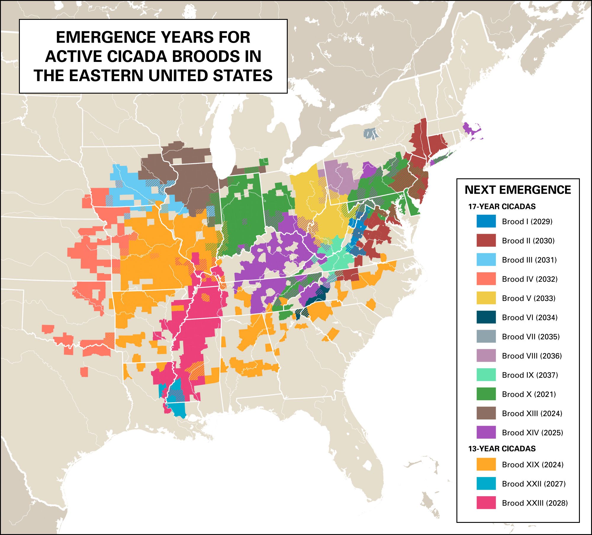 Map of the emergence years for cicada broods in the Eastern United States.