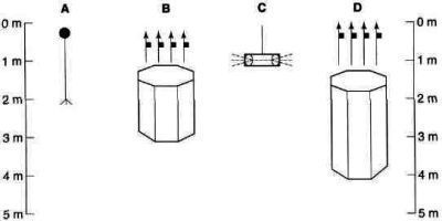 IELTS Academic reading sample 11a