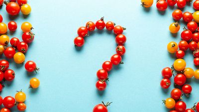 Red and yellow cherry tomatoes, some forming a question mark, against a light blue background. (organic, fruits, vegetables)