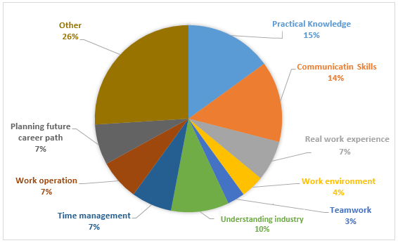 What participants have learned from their internship experience